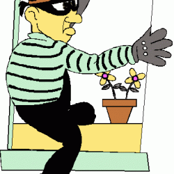 Window smashed in burglary – who pays?