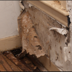 Advice on Damp problems – are these damp specialists trying to make a quick buck?