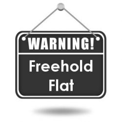 Flying freehold – advice requested