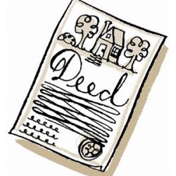 Transferring deeds into joint names