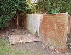 Landlord boundary fence – HELP!