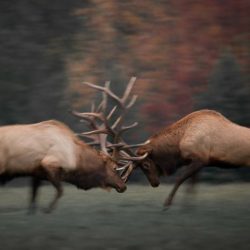 Tenants clashing with each other and subletting?