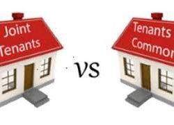 Tenants in Common or Joint Tenants for future tax planning?