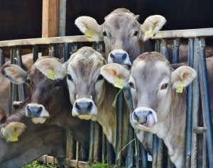 Treat Landlords more like Farmers