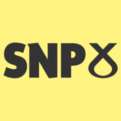 SNP Manifesto – PRS Lite