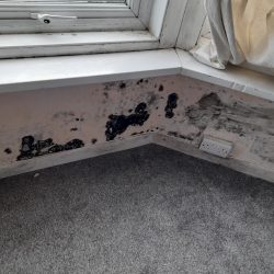 Mould after grant funded insulation?