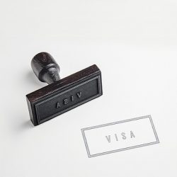 Spouse/Partner Leave to Remain visa?