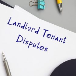 Government portal will give details on criminal landlords