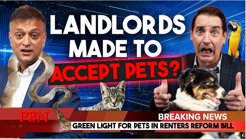 Will The Renters Reform Bill Force Landlords to Accept Pets?