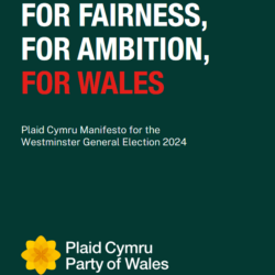 Plaid Cymru unveils plans for rent controls and affordable housing