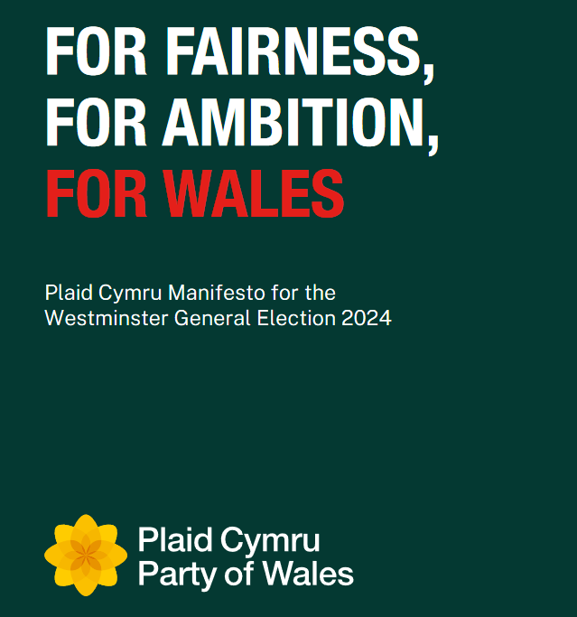 Plaid Cymru unveils plans for rent controls and affordable housing
