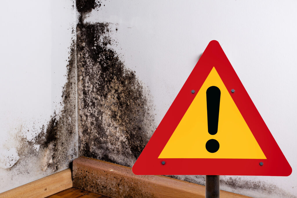 How should landlords handle damp and mould issues?