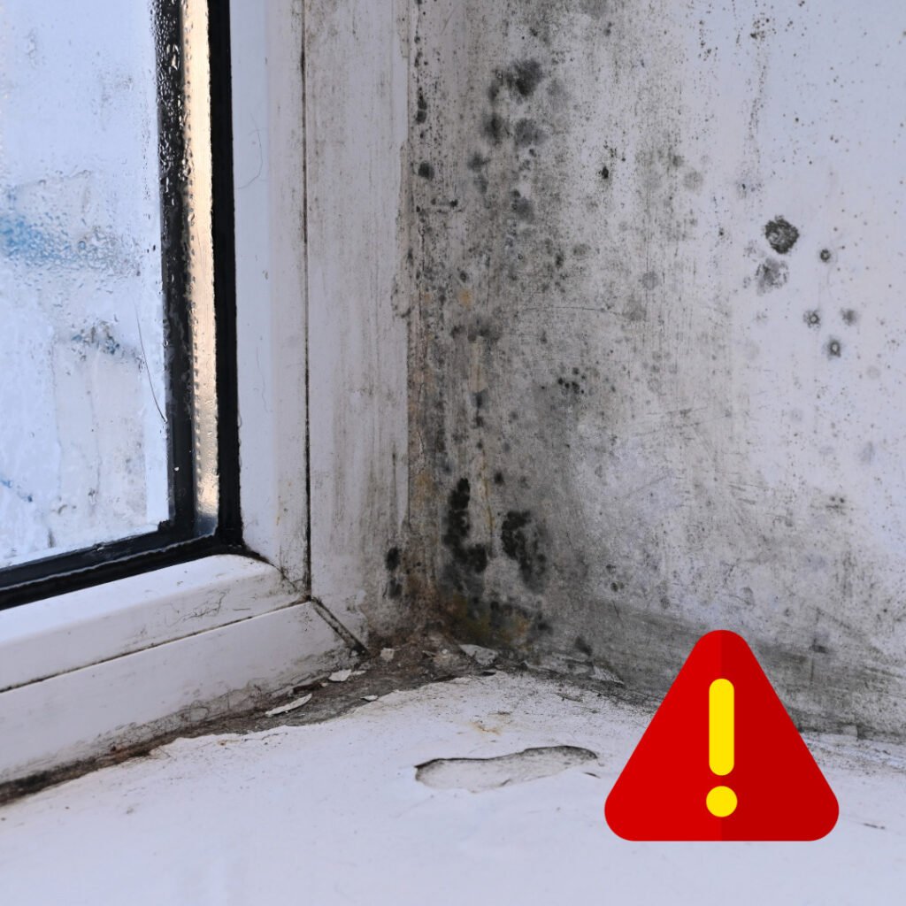 Should tenants be educated on preventing mould in properties?