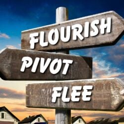 The Great Landlord Debate: Flee, Flourish or Pivot? Three Landlords, Three Very Different Stories