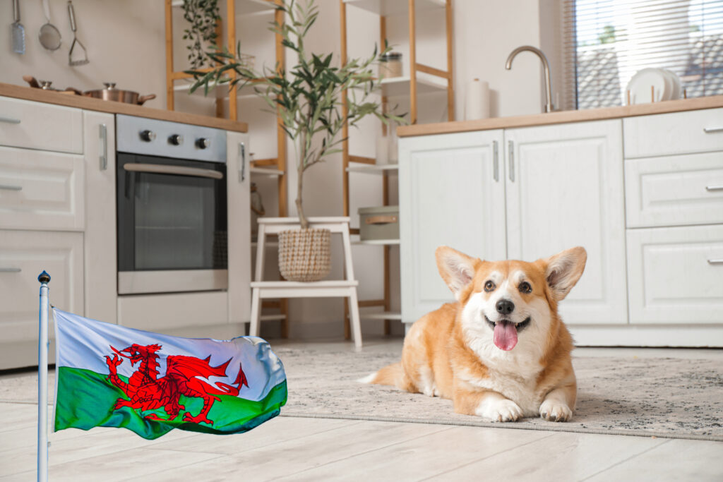 Welsh renters should get two months’ free rent and more pet-friendly homes