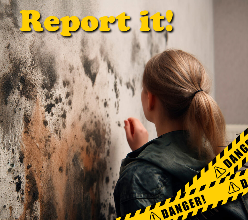 Councils and letting agents join forces to tackle damp and mould in the PRS