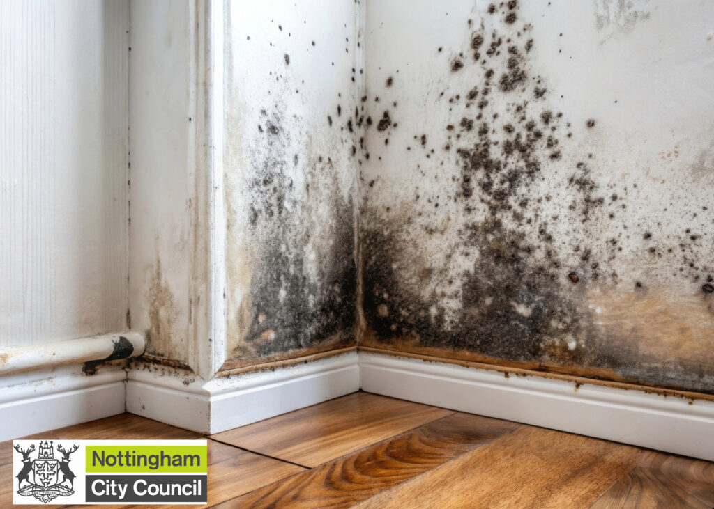 Council households stuck in damp and mould backlog as one landlord calls out double standard