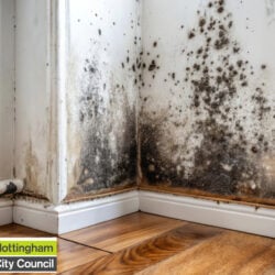 Council households stuck in damp and mould backlog as one landlord calls out double standard