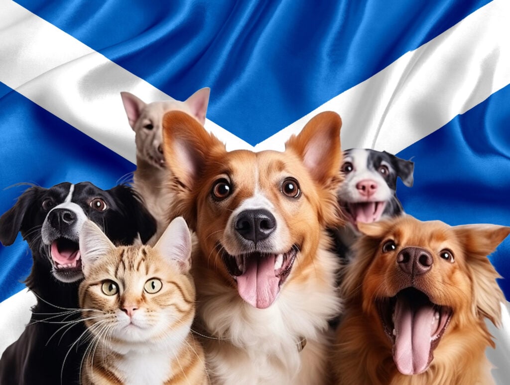 Scottish Housing Bill passes as landlords face rent caps and pets policy changes