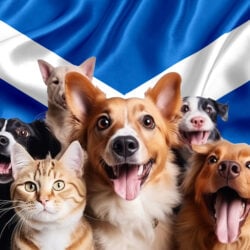 Scottish Housing Bill passes as landlords face rent caps and pets policy changes