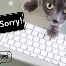 Apology for accidental multiple Newsletter sends