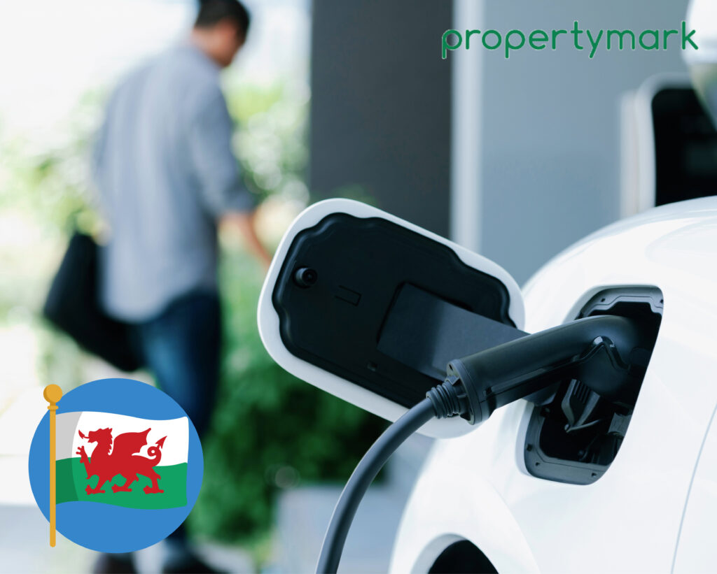 Industry body urges Welsh government against mandatory EV charging points in properties