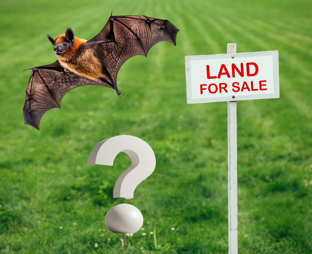 Can communal land be sold and must I allow a bat roost survey?