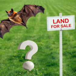 Can communal land be sold and must I allow a bat roost survey?