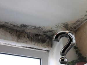 "Mould - It's not Lifestyle" - Regulator report that attacked landlords debunked